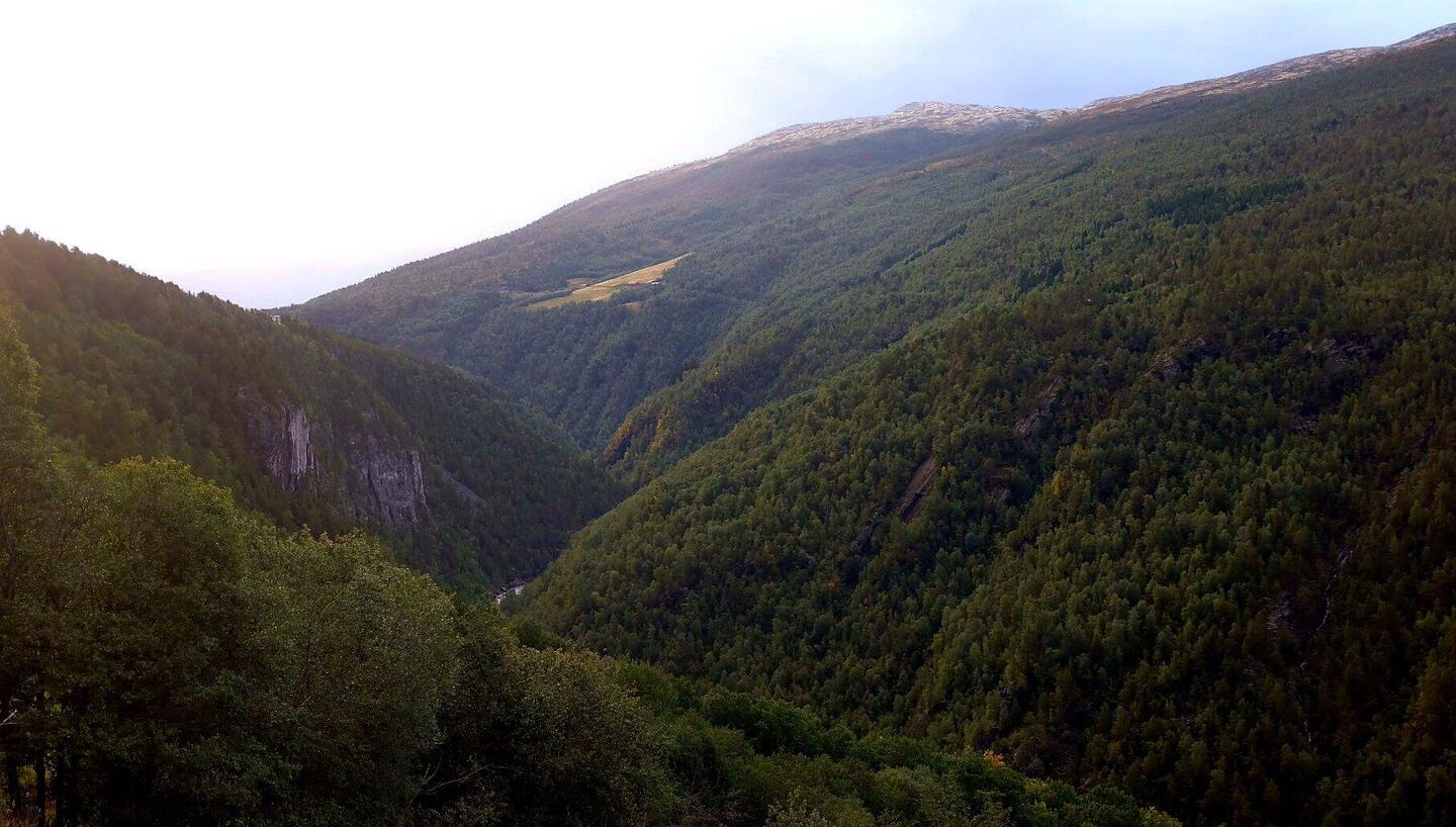 Die Landschaft wirkt auf mich surreal