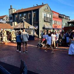 Newport