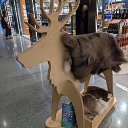 Elchfell kostet 138€