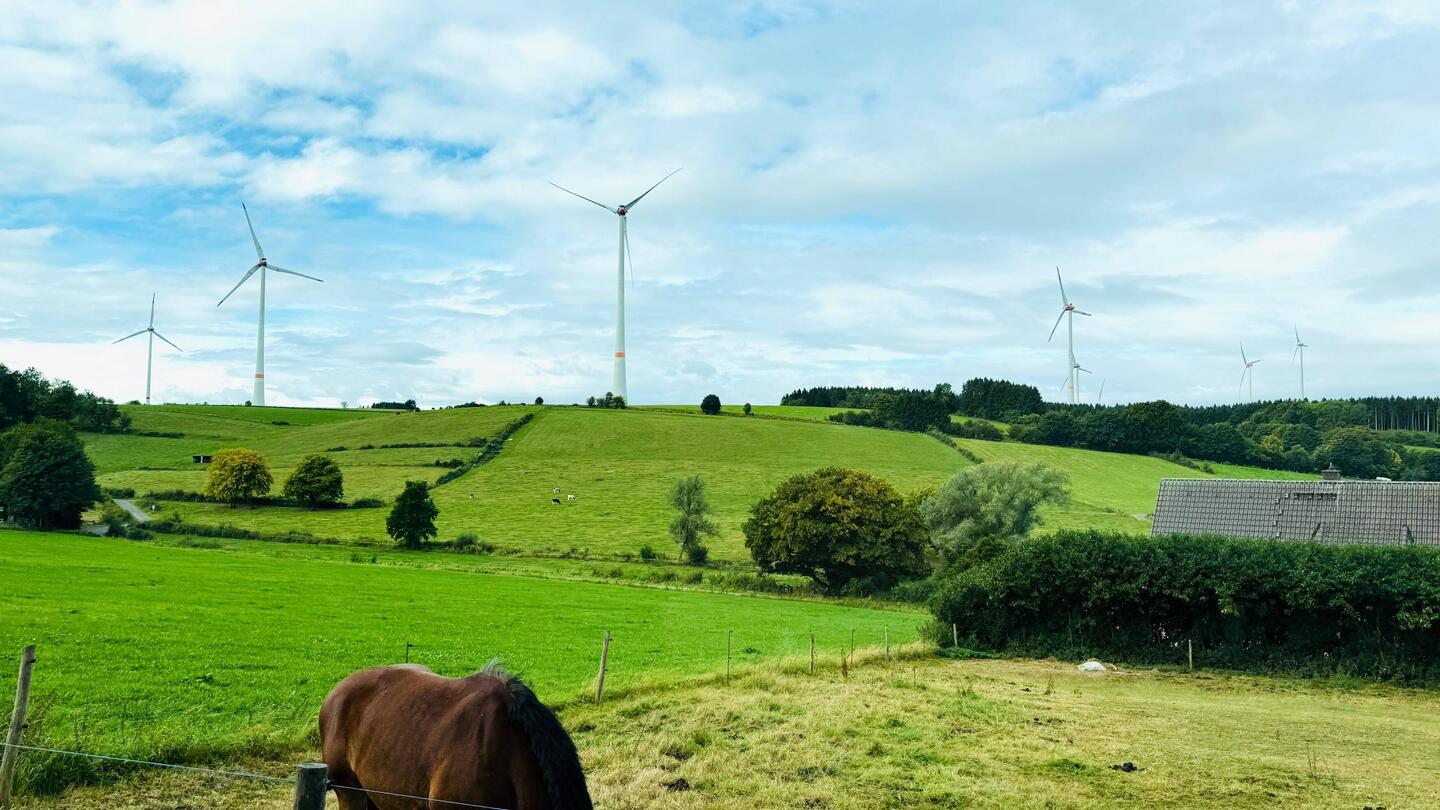 Windräder prägen die Landschaft