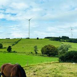 Windräder prägen die Landschaft