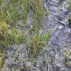 2h de splash pour terminer