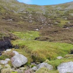 Et le noir de la tourbe et le bleu du ciel