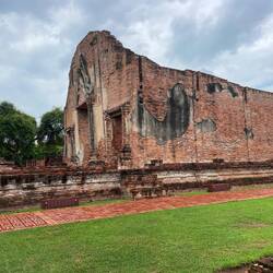 These are 500-600 years old.