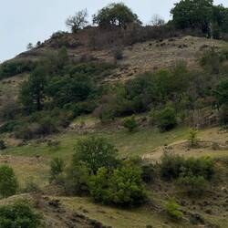 Montégut-Plantaurel castle remains