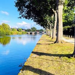La típica arboleda napoleónica y el río Vienne
