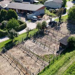 Die Paddocks mit dem Boxentrakt des Stalles