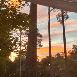 Sonnenaufgangsblick vom Bett aus