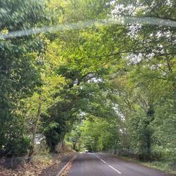 On the road again... lovely lanes