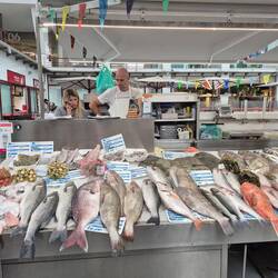 Municipal Fish Market