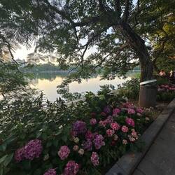 Early morning at the lake.