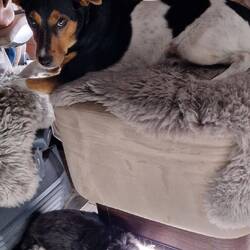 So langsam vertragen sie sich! ❤️