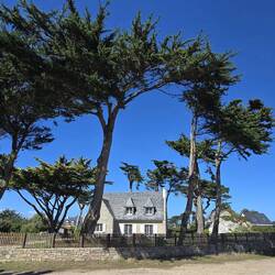 Könnte mir gefallen. Haus direkt am Meer, auf der Halbinsel Perharidy