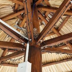 Falks neue Rauchergesellschaft