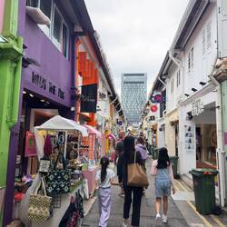 The walking street at Haji Lane.