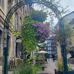 Überall ranken die Blumen an den Fassaden