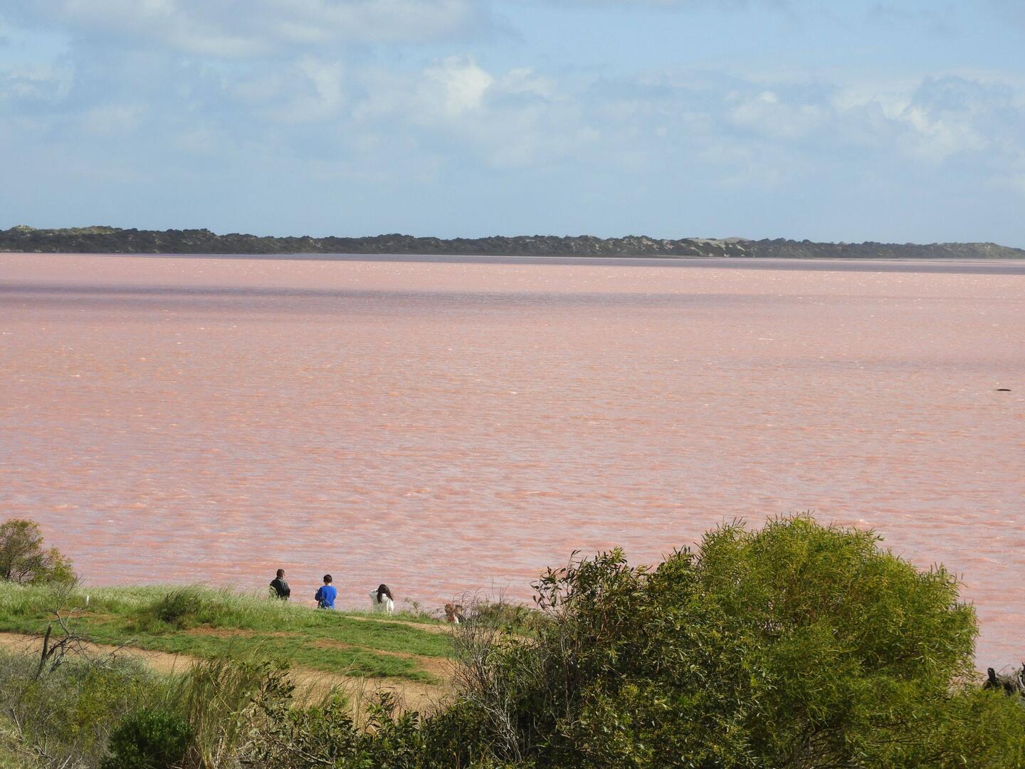 Hutt Lagoon - pink lake