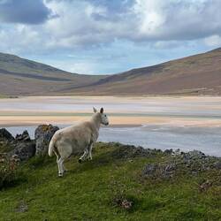 Landschaft in den Northwest Highlands