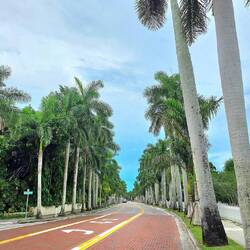 Mc Gregor Blvd