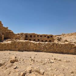A date farm by the Dead Sea