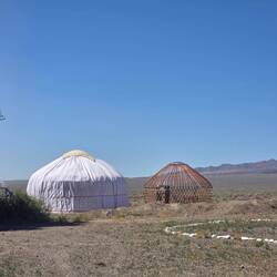 Yurt in progress