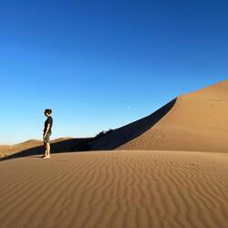 Muad'dib
