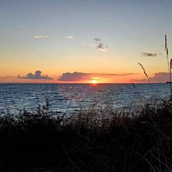 Solnedgang fra Gedser Odde. Der er i alt 162 vindmøller på Rødsand