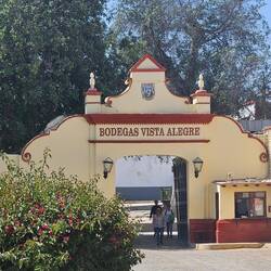 Bodegas/Winzer