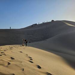 Sandboarding auf den Dünen