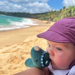 Mein Einhorn am Meer