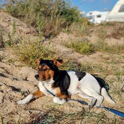 Abendsonne genießen ❣️