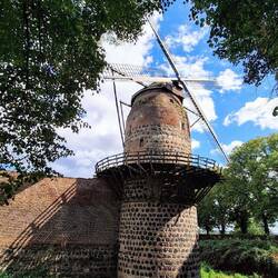 Zons....am Rhein 😍