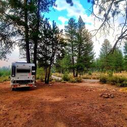 Unser schönes Stellplätzli im Wald👍