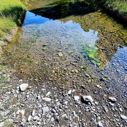 Sieht doch easy aus.🤣