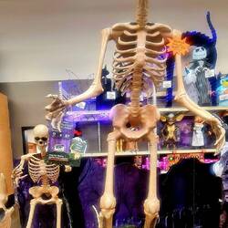 Schon Hallowen. Die spinnen total.