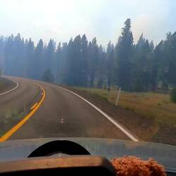 Plötzlich Wildfire Warnung mit viel Rauch direkt neben der Strasse.