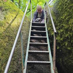 ....neeee, da gehe ich auf keinen Fall runter, Herrchen.