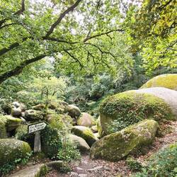 Ménage de la Vierge