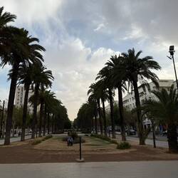 Fez boulevard