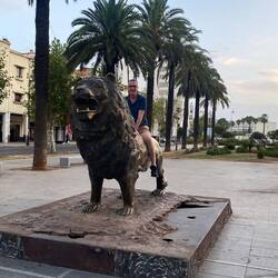 Lion tamer!!