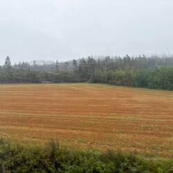 View on the way to Myrdal