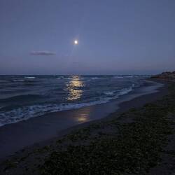 Wieczorny spacer nad brzegiem morza