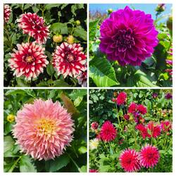 Es gab auch jede Menge Schönheit und Naturwunder im Detail