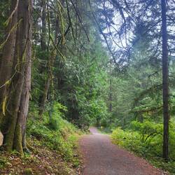 Ein schöner Trail für unsere Räder