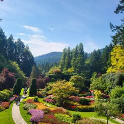 Der Ausflug zu den Butchart Gardens hat sich definitiv gelohnt