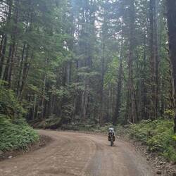 Unangenehme Wege und graue Natur wegen des Staubs