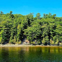 A C-Dory river!