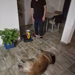 Gaia ist ordentlich und räumt ihr Spielzeug immer auf