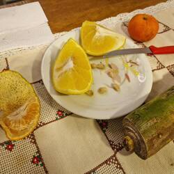 Gelbe Orange und ein frisches Stück Palme