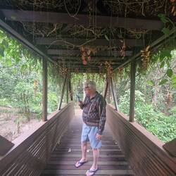 Carlos erklärt mir Pflanzen mit Hilfe seiner Übersetzungsapp